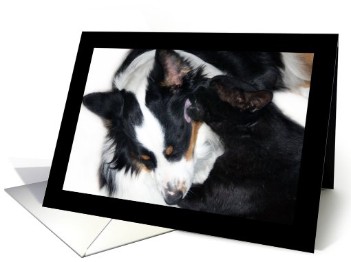 Loving card (489864)