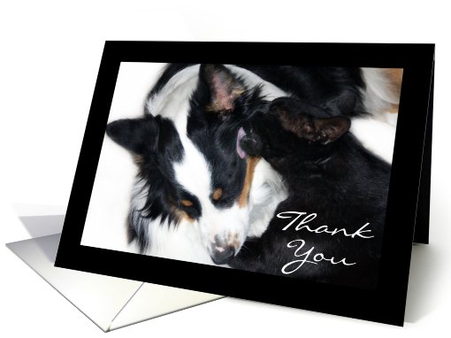 Loving, Thank You card (489867)