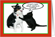 Hey You! Christmas card