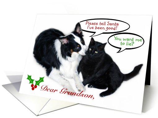 I've Been Good Santa! Grandson card (493195)