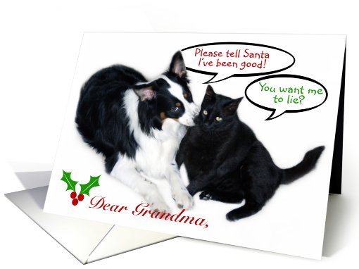 I've Been Good Santa! Grandma card (493199)