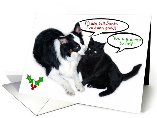 I've Been Good Santa! card (493209)