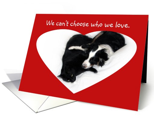 Love is not a Choice card (494656)