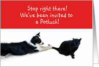 Stop right there! Potluck card