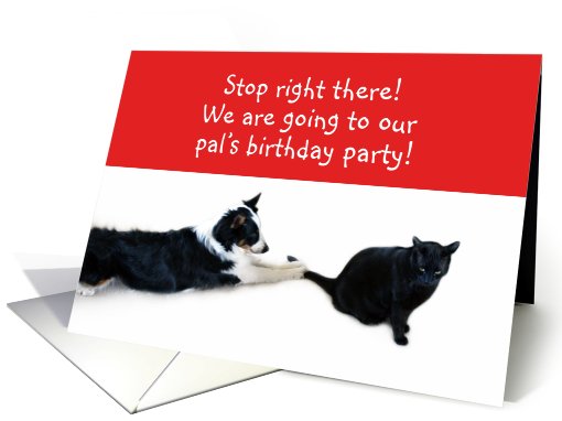 Stop right there! Pet's Party card (495305)