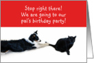 Stop right there! Pet’s Party card