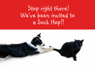 Stop right there! Sock Hop