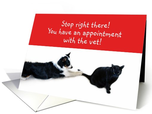 Stop right there! Vet Appointment card (495338)