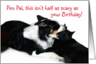 Scary Birthday, Pen Pal card