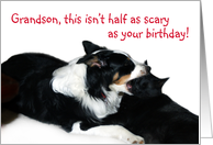 Scary Birthday,Grandson card