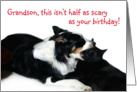 Scary Birthday,Grandson card