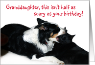 Scary Birthday,Granddaughter card