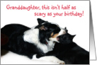 Scary Birthday,Granddaughter card