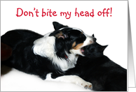 Don’t bite my head off! card