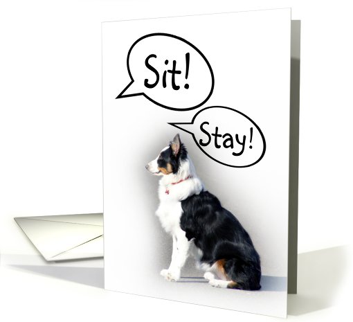 Sit, stay, heal! card (503208)