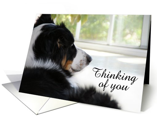 Waiting at the Window, Thinking of You card (506297)