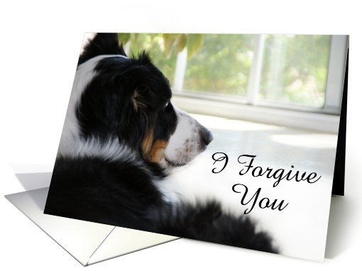 Waiting at the Window, I forgive You card (506299)