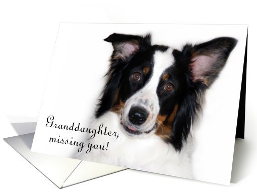 Missing You, Granddaughter card (506375)