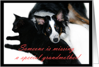Someone is Missing You, Grandmother card