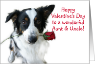 Valentine Rose, Aunt and Uncle card