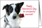 Valentine Rose, Parents card