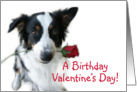 Valentine Rose, Birthday card