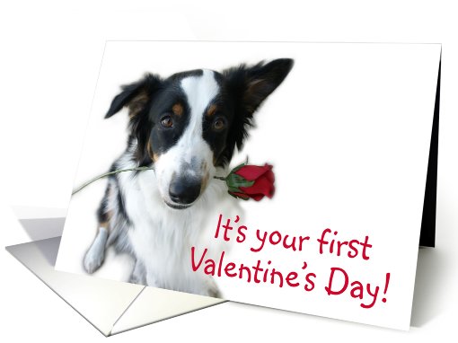 Valentine Rose, Your First card (514337)