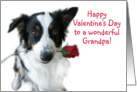 Valentine Rose, Grandpa card