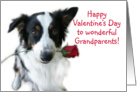 Valentine Rose, Grandparents card