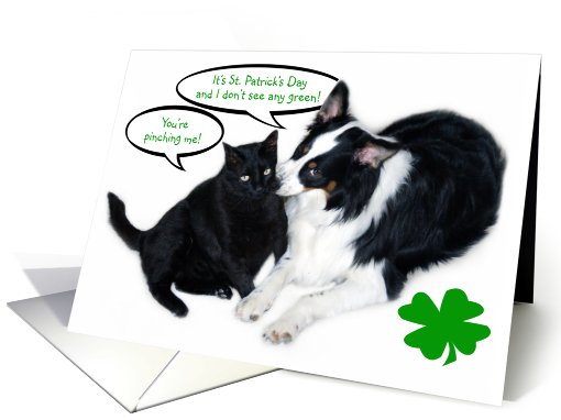 St. Patrick's Day Pinch card (514372)