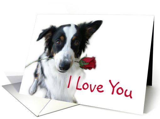Aussie and Rose, I Love you card (514561)