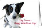 Aussie and Rose, Cousin Valentine card