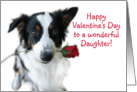 Aussie and Rose, Daughter card