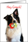 Bringing a Valentine, Coach card