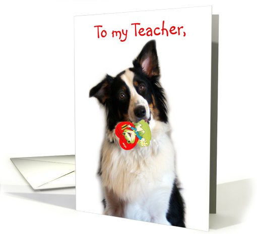 Bringing a Valentine, Teacher card (514747)
