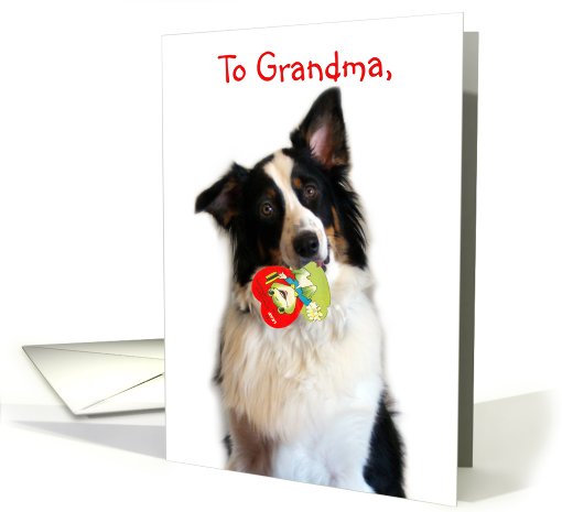 Bringing a Valentine, Grandma card (514754)