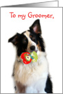 Bringing a Valentine, Groomner card