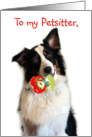 Bringing a Valentine, Petsitter card