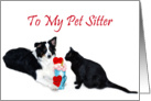 Valentine Shake, Pet Sitter card