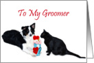 Valentine Shake, Groomer card