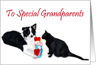 Valentine Shake, Grandparents card