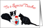 Valentine Shake, Teacher card