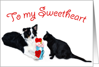 Valentine Shake, Sweetheart card