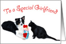 Valentine Shake, Girlfriend card