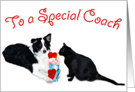 Valentine Shake, Special Coach card