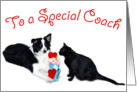 Valentine Shake, Special Coach card