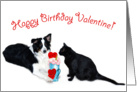 Valentine Shake, Happy Birthday card
