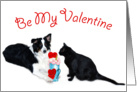 Valentine Shake, Be My Valetine card
