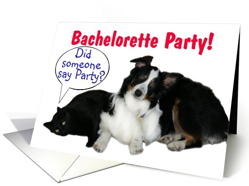 It's a Party, Bachelorette Party card (602958)