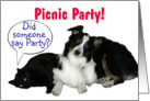 It’s a Party, Picnic Party card